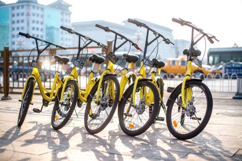 ofo kz